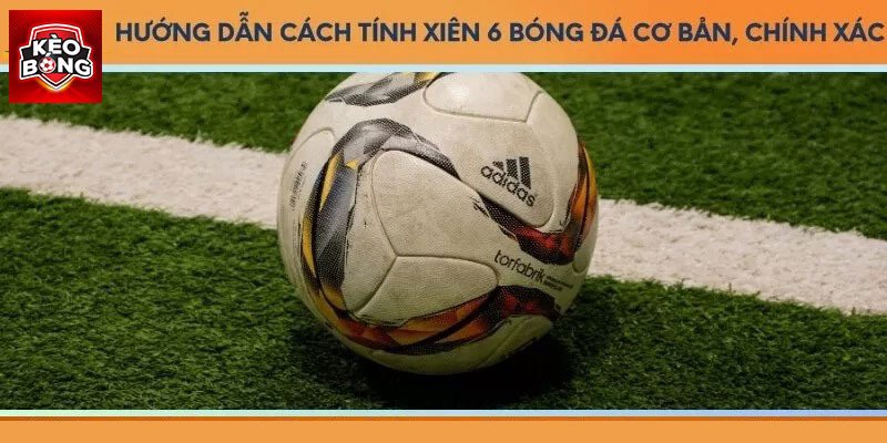 Hướng dẫn cách tính xiên 6 bóng đá chi tiết nhất 2024